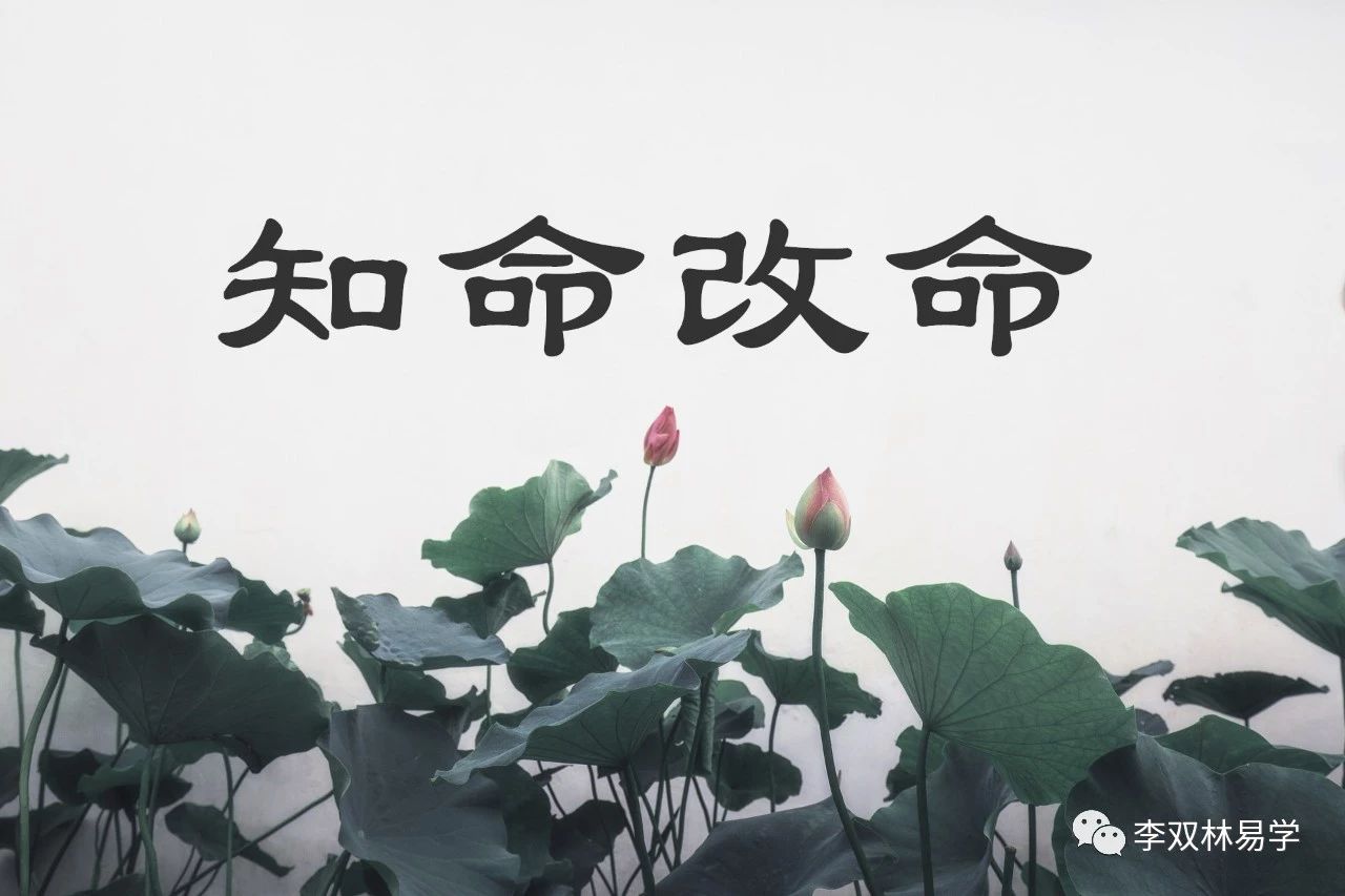 9e1dbfe7f0d3e268b171cd635a7d6ab4_0004.jpg