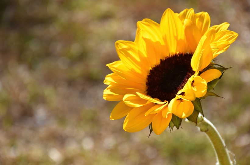 博士毕业,如何选择职业才更有利发展?李双林