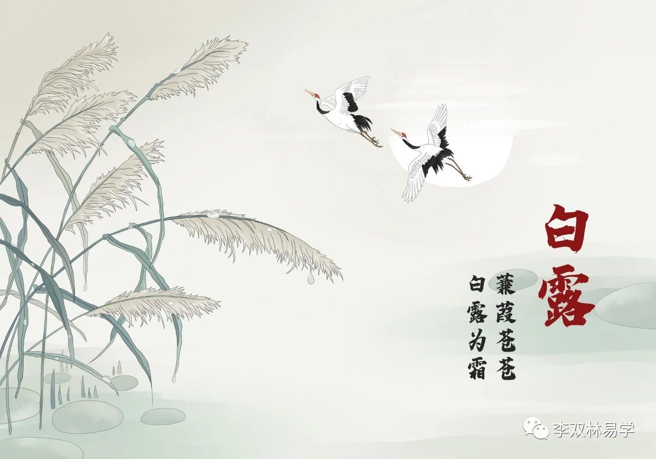 心高命薄之人，如何规划人生？李双林