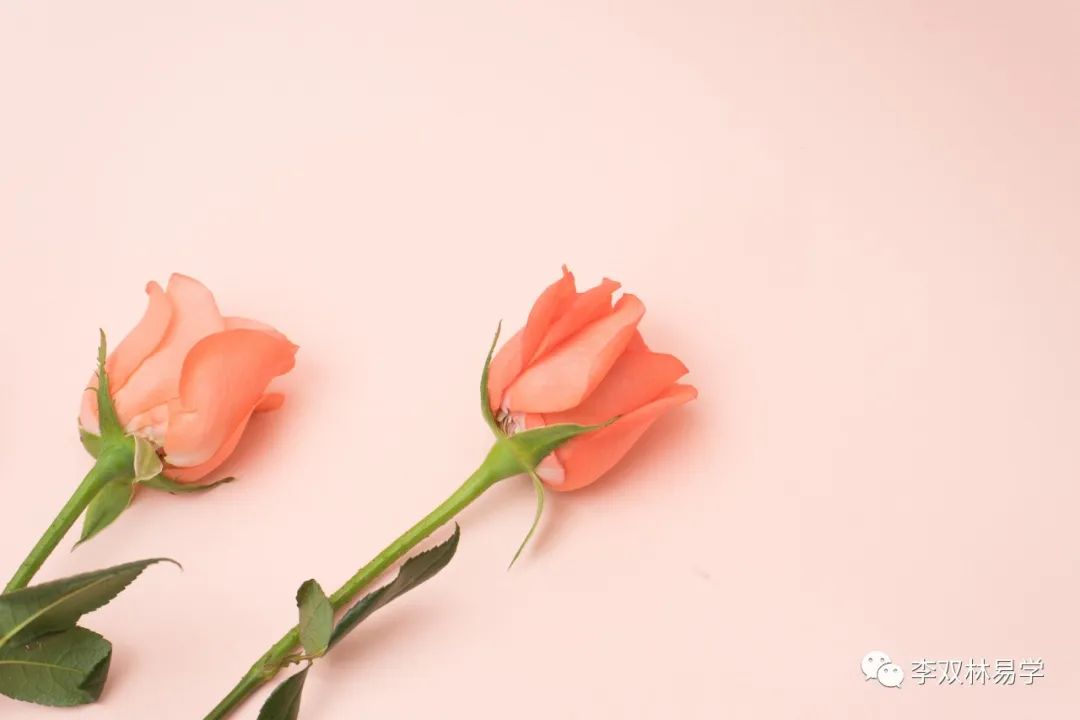 十年期间花费18万做试管，却依然无子。李双林
