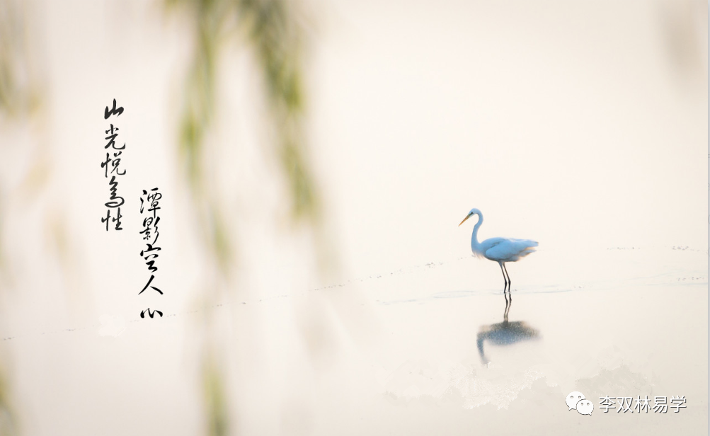 鱼和熊掌不可兼得，应该如何选择。李双林