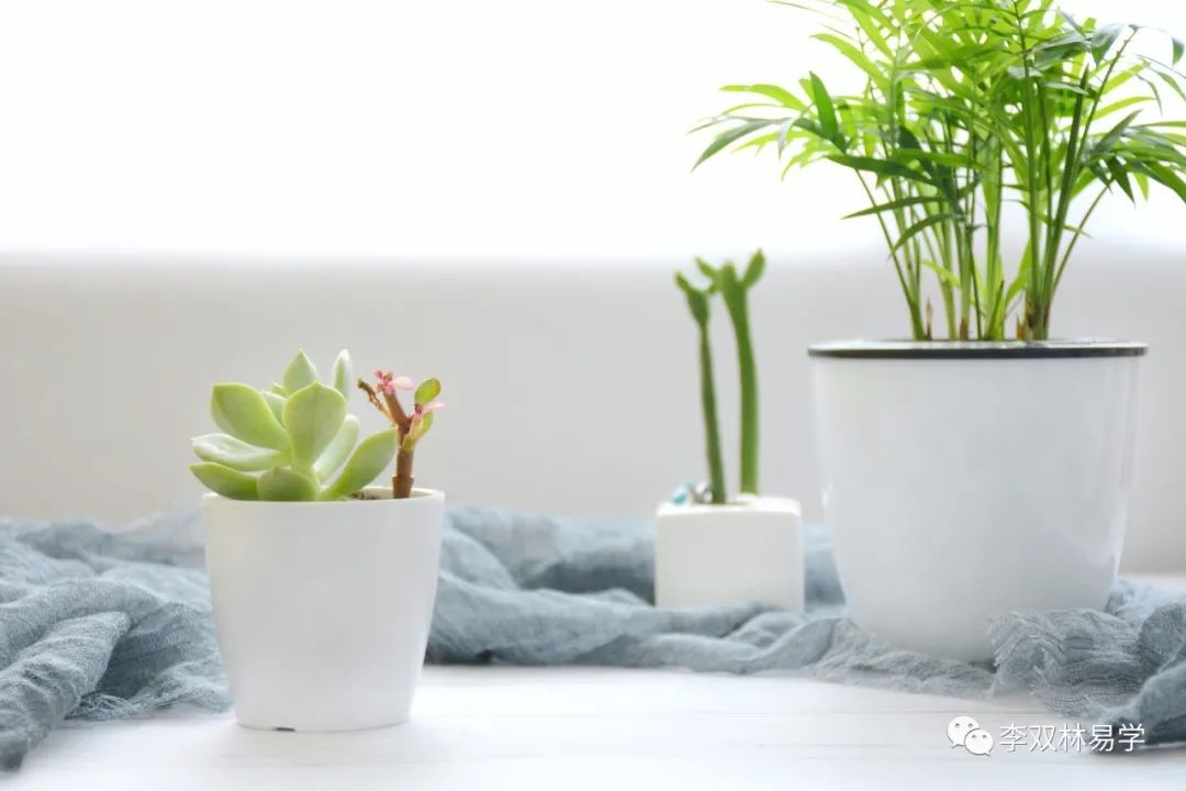 当一个人灾难多时，应该怎么去做？李双林