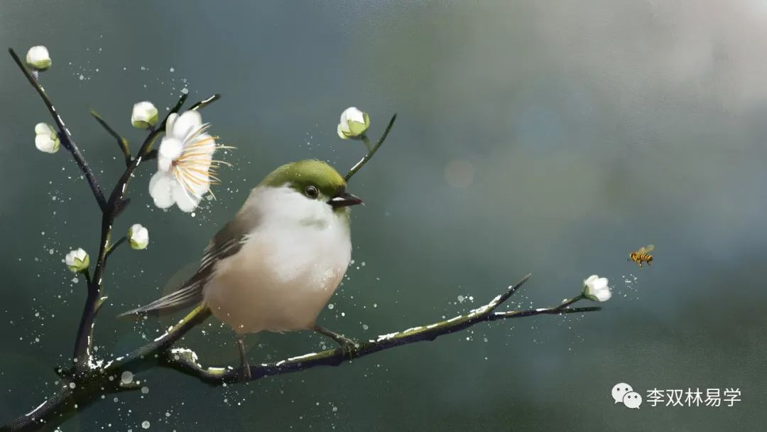 能运用的才是知识，不能运用的啥也不是。李双林