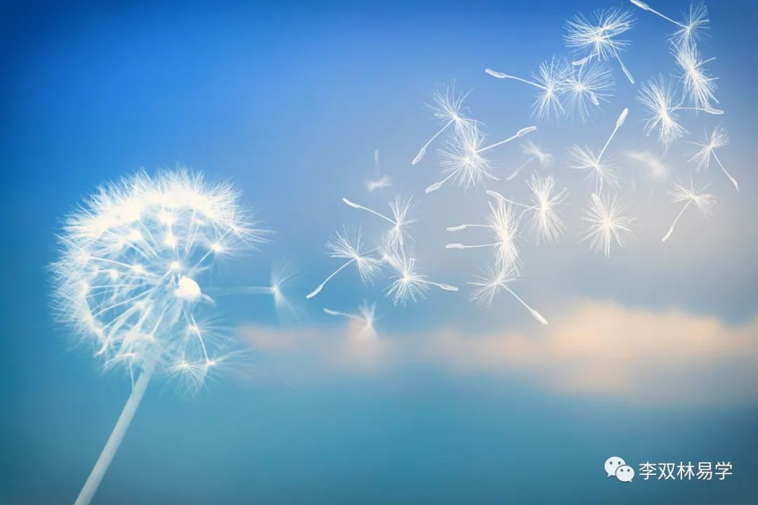 如果预知有灾，如何提前化解？李双林