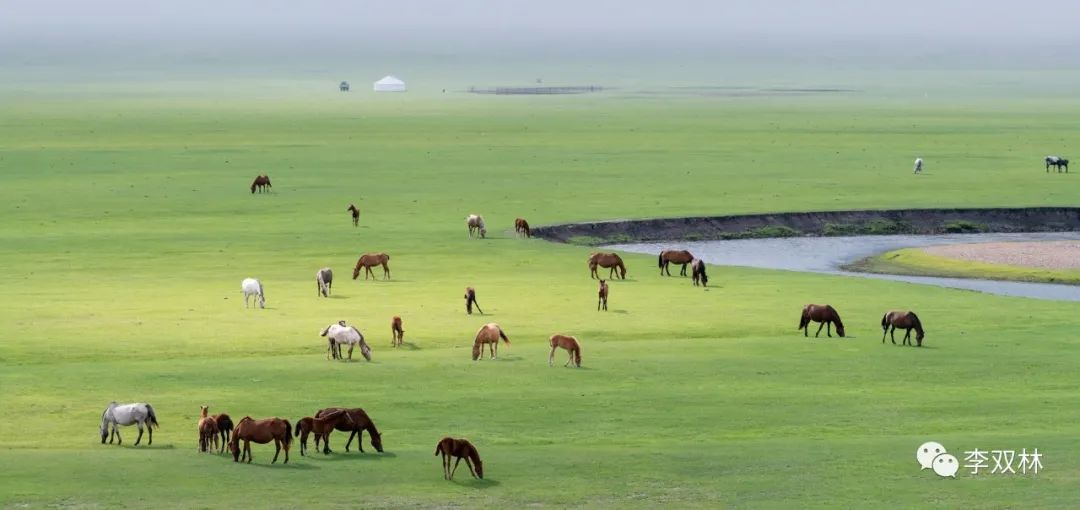 一技在身，能抵千金。李双林