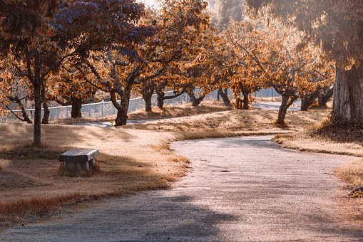 park-6549851__340.jpg.jpg
