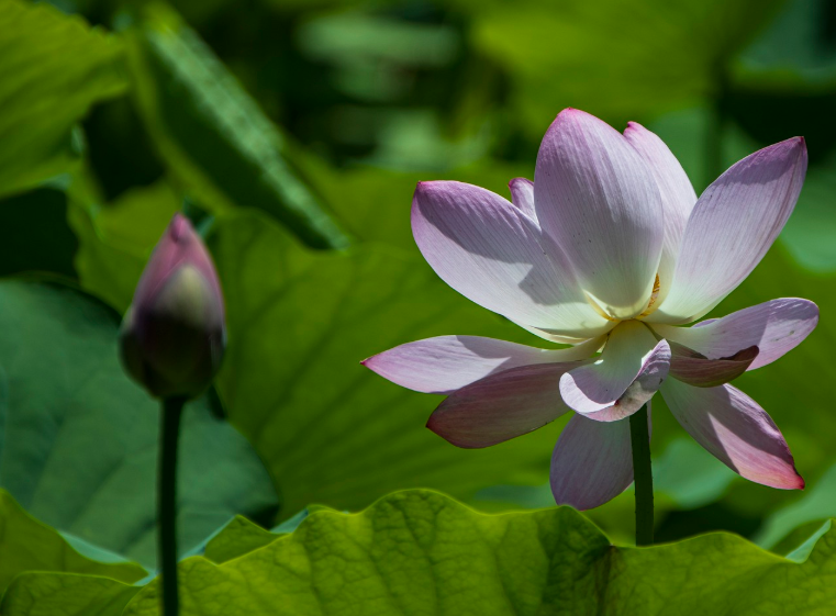 乐从无中生，苦从有中来。李双林